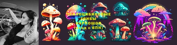 2c-b Новокубанск