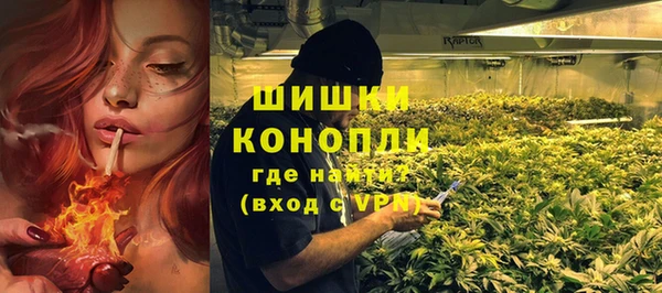 ешки Новозыбков