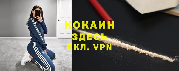 ешки Новозыбков