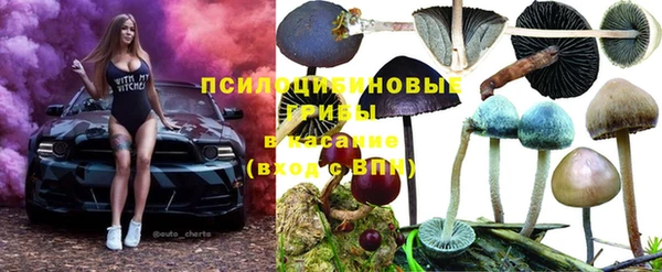 винт Новодвинск