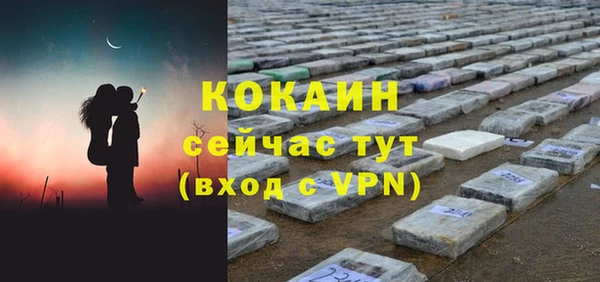 ешки Новозыбков