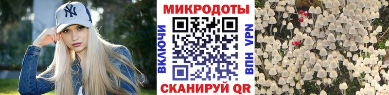 магазин продажи   Советская Гавань  Псилоцибиновые грибы прущие грибы 