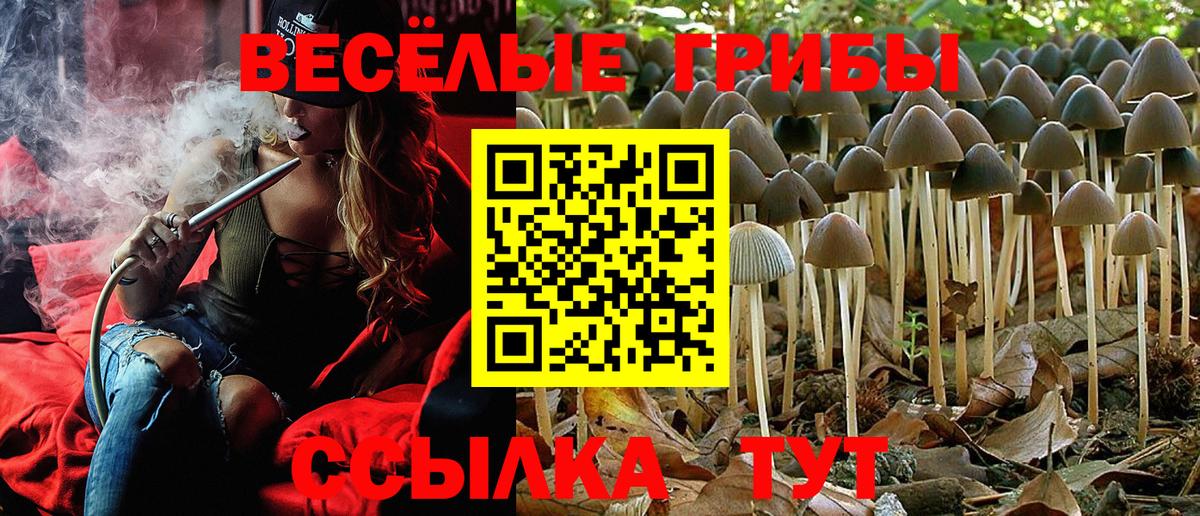Псилоцибиновые грибы GOLDEN TEACHER  Вход с VPN  Советская Гавань 
