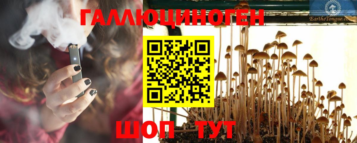 Псилоцибиновые грибы Cubensis  Советская Гавань 